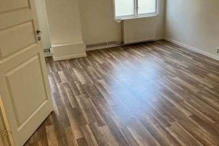 Etta i markplan vid Knalleland